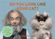 Book cover of: Do You Look Like Your Cat?. By: Gerrard Gethings