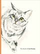 Book cover of: Book of Cat Poems. By: Ana Sampson