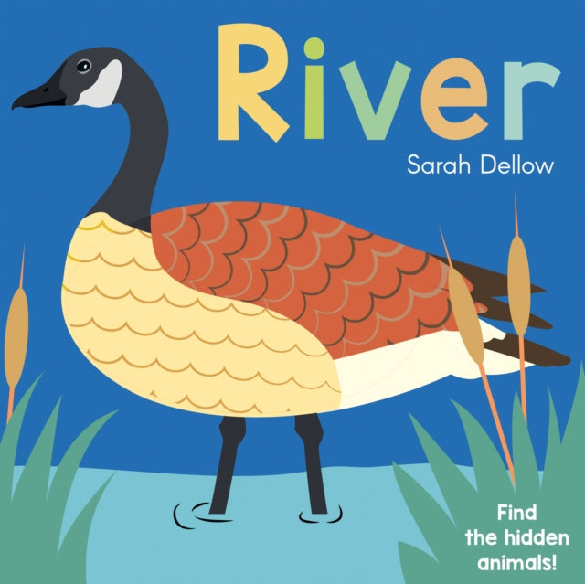 Book cover of: Now you See It! River. By: Sarah Dellow