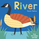 Book cover of: Now you See It! River. By: Sarah Dellow