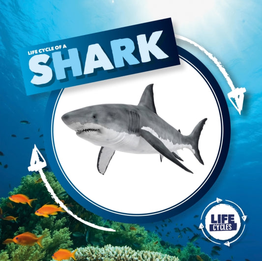 Book cover of: Life Cycle of a Shark. By: Kirsty Holmes