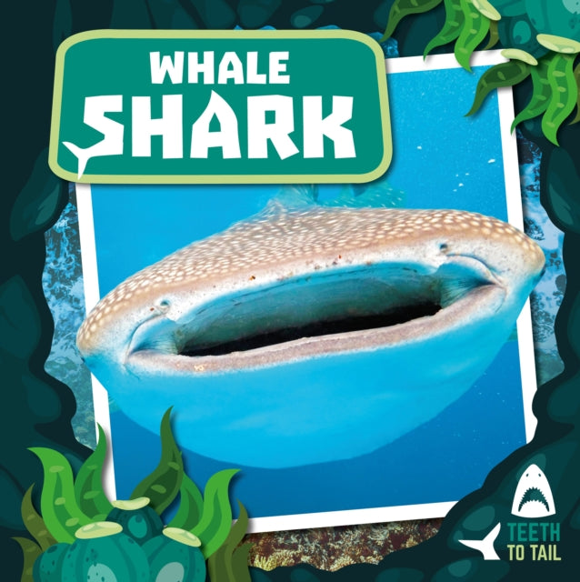 Book cover of: Whale Shark. By: Robin Twiddy