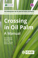 Book cover of: Crossing in Oil Palm. By: Umi Setiawati