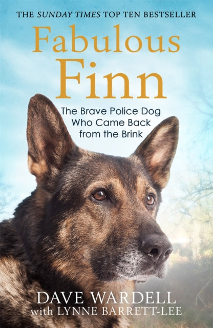 Book cover of: Fabulous Finn. By: Dave Wardell
