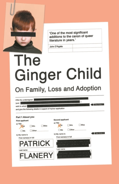 Book cover of: Ginger Child. By: Patrick Flanery