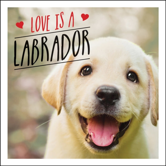 Book cover of: Love is a Labrador. By: Charlie ELIIS