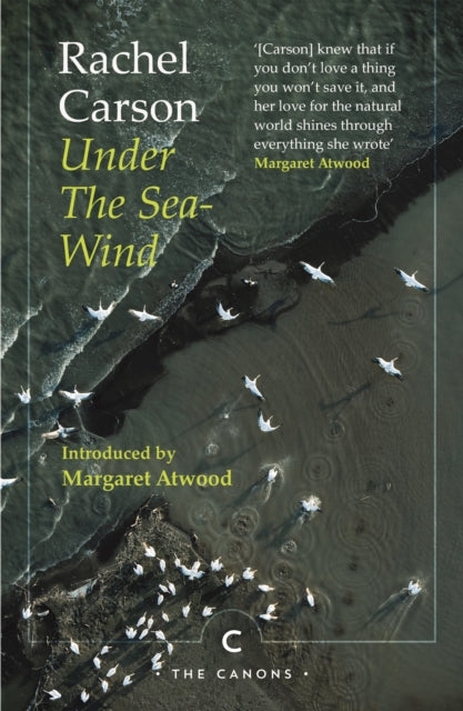Under the Sea-Wind 9781786899279 Rachel Carson