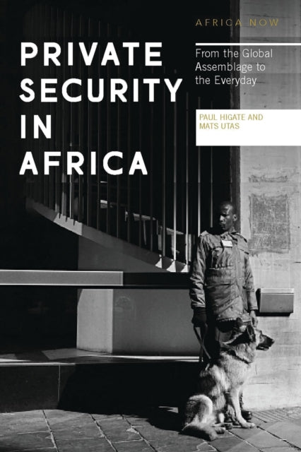 Book cover of: Private Security in Africa. By: Doctor Paul Higate