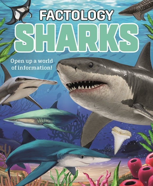 Factology: Sharks, Open Up a World of Information! 9781787081789 BUTTON BOOKS