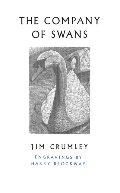 Book cover of: Company of Swans. By: Jim Crumley