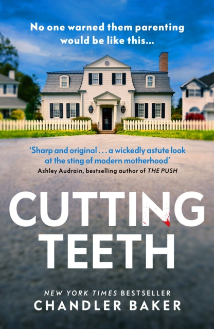 Book cover of: Cutting Teeth. By: Chandler Baker