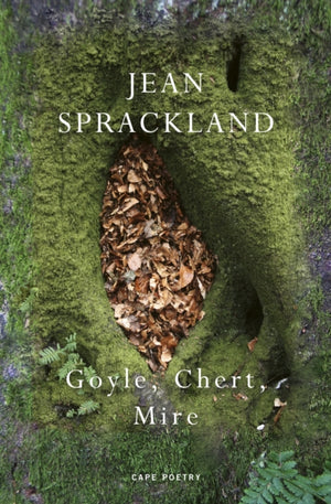 Goyle, Chert, Mire