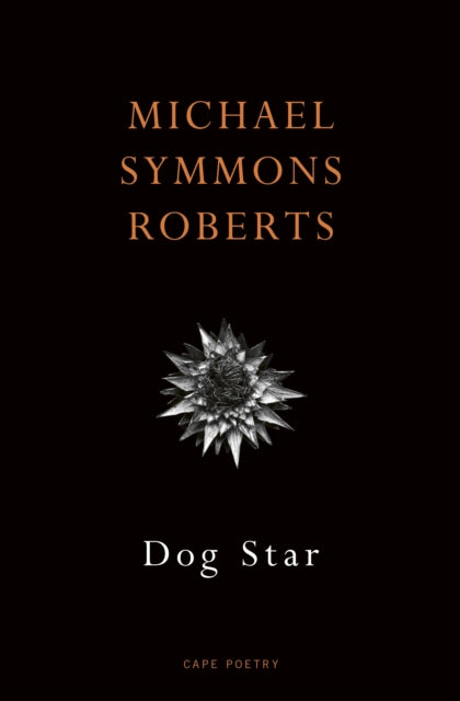 Dog Star