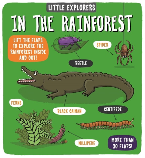 Book cover of: Little Explorers: In the Rainforest