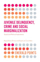 Book cover of: Juvenile Delinquency, Crime and Social Marginalization. By: Miguel Basto Pereira