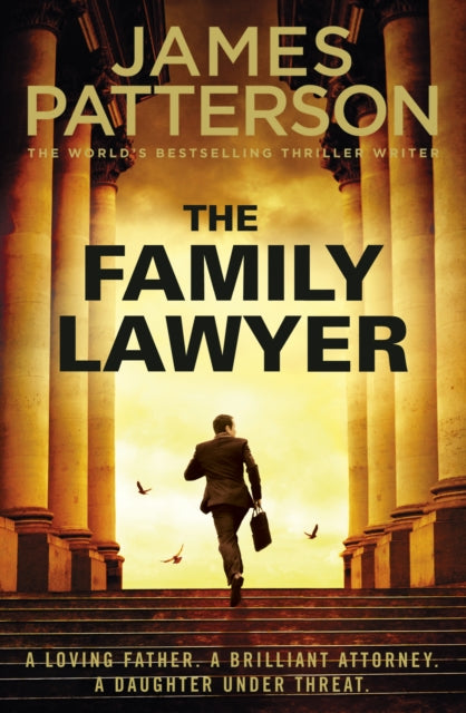 Book cover of: Family Lawyer