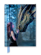 Book cover of: Anne Stokes: Once Upon a Time (Foiled Journal). By: Flame Tree Studio