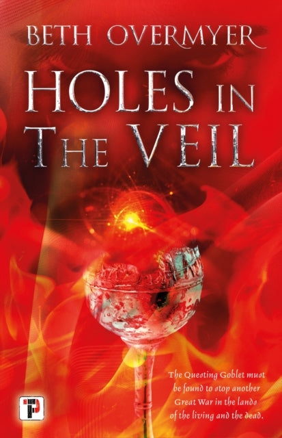 Book cover of: Holes in the Veil. By: Beth Overmyer