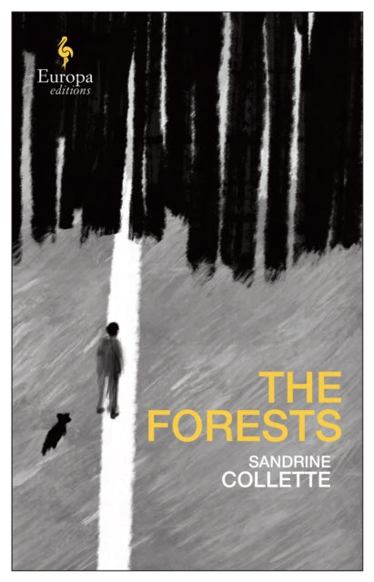 Book cover of: Forests. By: Alison Anderson