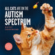 All Cats Are on the Autism Spectrum, An affirming introduction to autism 9781787754713 Kathy Hoopmann