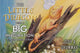Book cover of: Little Dragon with a Big Imagination: Icarus Takes Flight