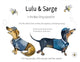 Book cover of: Lulu & Sarge in the Bee Sting Operation. By: Amanda Horwitz