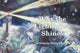 Book cover of: Why The Lighthouse Shines. By: Dottie Abshire