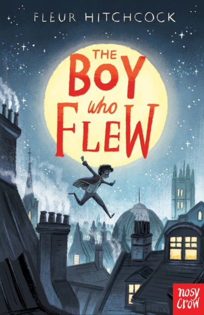 Boy Who Flew 9781788004381 Fleur Hitchcock