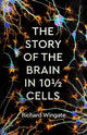 Book cover of: Story of the Brain in 10½ Cells. By: Richard Wingate