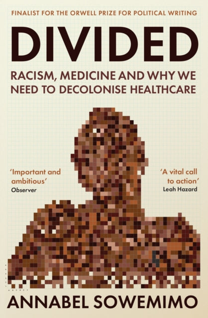 Book cover of: Divided. By: Annabel Sowemimo