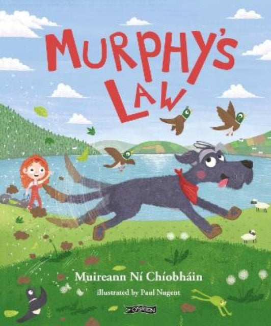 Book cover of: Murphy's Law. By: Muireann ní Chíobháin