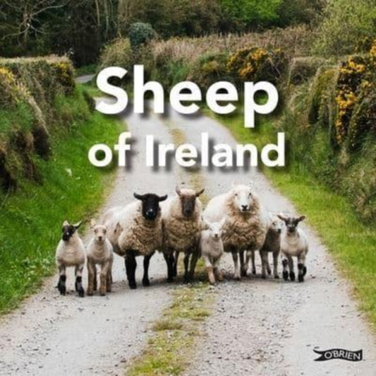 Book cover of: Sheep of Ireland. By: The O'Brien Press