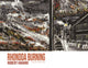 Book cover of: Rhondda Burning. By: HAVARD