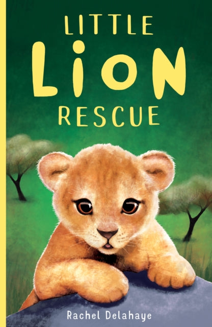 Book cover of: Little Lion Rescue. By: Rachel Delahaye