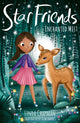 Book cover of: Enchanted Mist. By: Linda Chapman