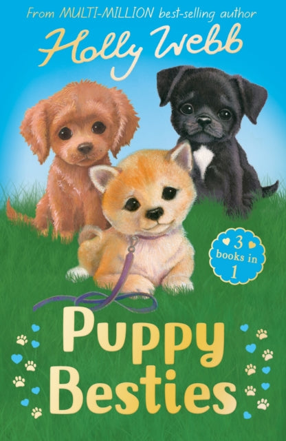 Puppy Besties, The Puppy Who Ran Away, The Puppy Who Couldn't Sleep, The Forgotten Puppy 9781788957878 WEBB, HOLLY