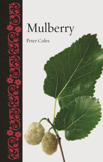 Book cover of: Mulberry. By: Peter Coles