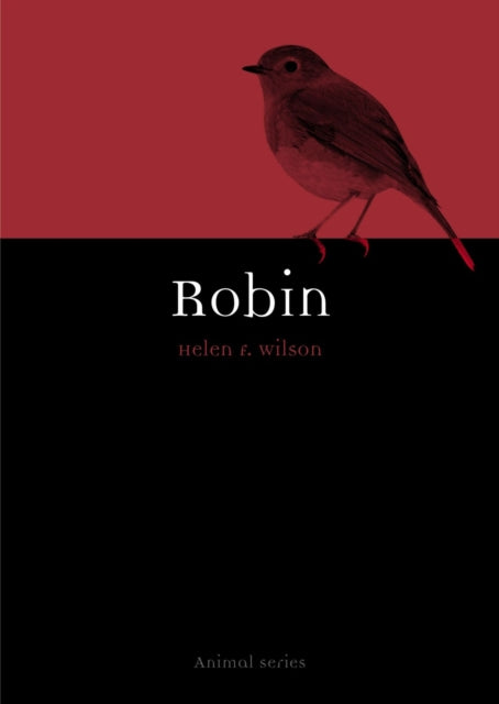Book cover of: Robin. By: Helen F. Wilson