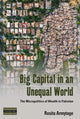Book cover of: Big Capital in an Unequal World. By: Rosita Armytage