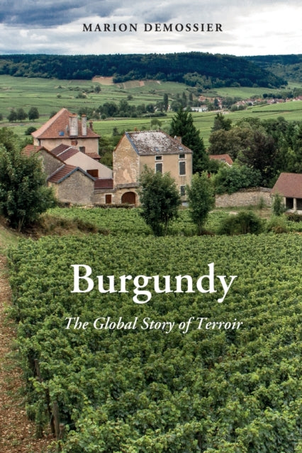 Book cover of: Burgundy. By: Marion Demossier