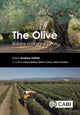 Book cover of: Olive. By: Andrea Fabbri