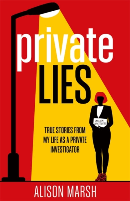 Book cover of: Private Lies