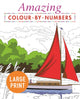 Book cover of: Amazing Colour-by-Numbers Large Print