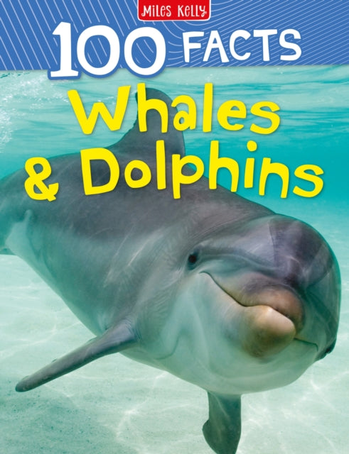 Book cover of: Whales & Dolphins