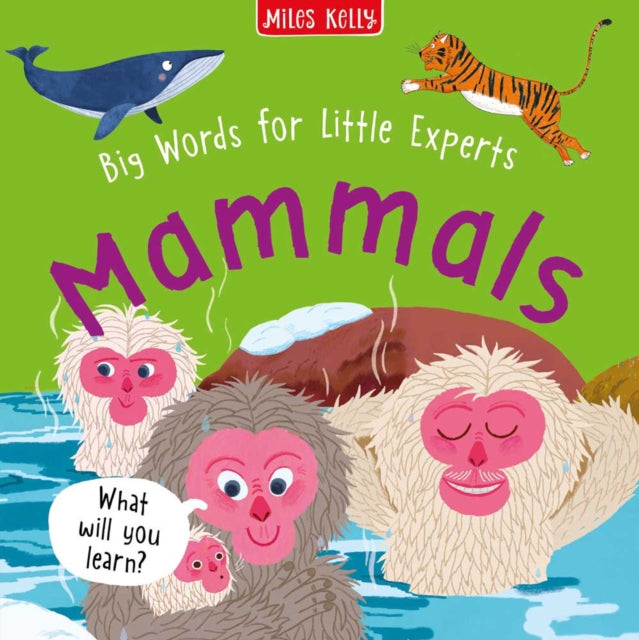 Book cover of: Mammals