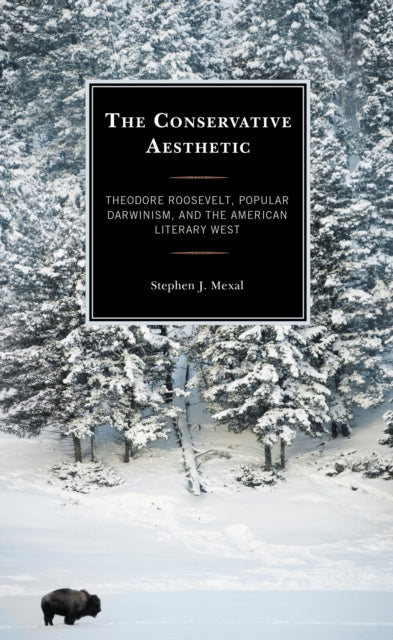 Book cover of: Conservative Aesthetic. By: Stephen J. Mexal