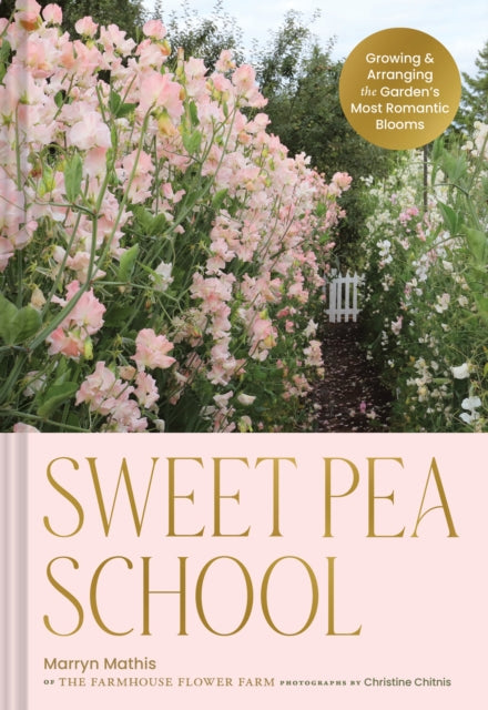 Book cover of: Sweet Pea School