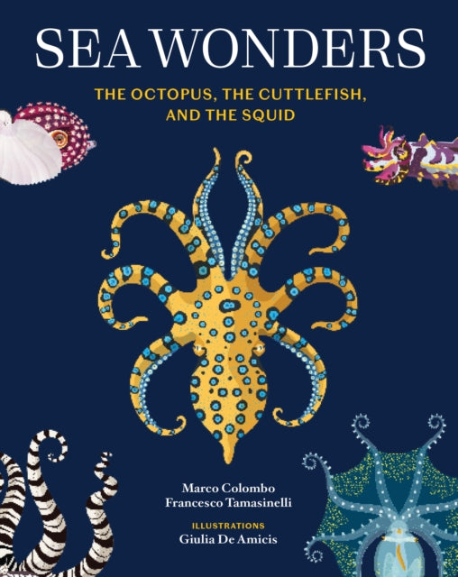 Book cover of: Sea Wonders