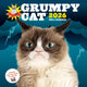 Book cover of: Grumpy Cat 2026 Wall Calendar