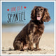 Book cover of: Love is a Spaniel. By: Charlie Ellis